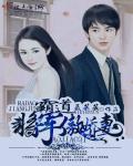 霸道将军傲娇妻
