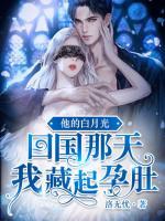 秦夜沈云雾
