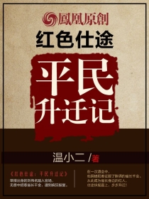 红色仕途：平民升迁记