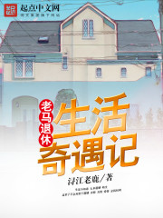 老马退休生活奇遇记