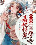 毒妃携崽替嫁，戾王夜夜来爬墙