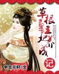 草根王妃养成记