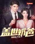 盖世奶爸