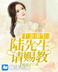 千金重生：陆先生请赐教