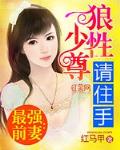 最强前妻：狼性少尊请住手